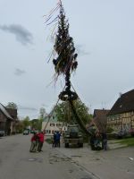 2015-04-30 TTC Maibaum stellen 027 (P1090087)